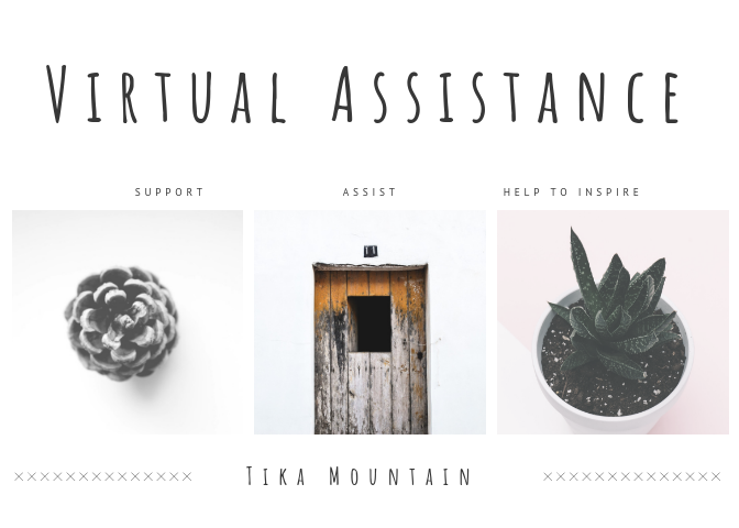 Virtual Assistance (1)